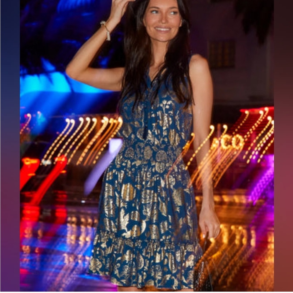 NWT Cabana Life Dress